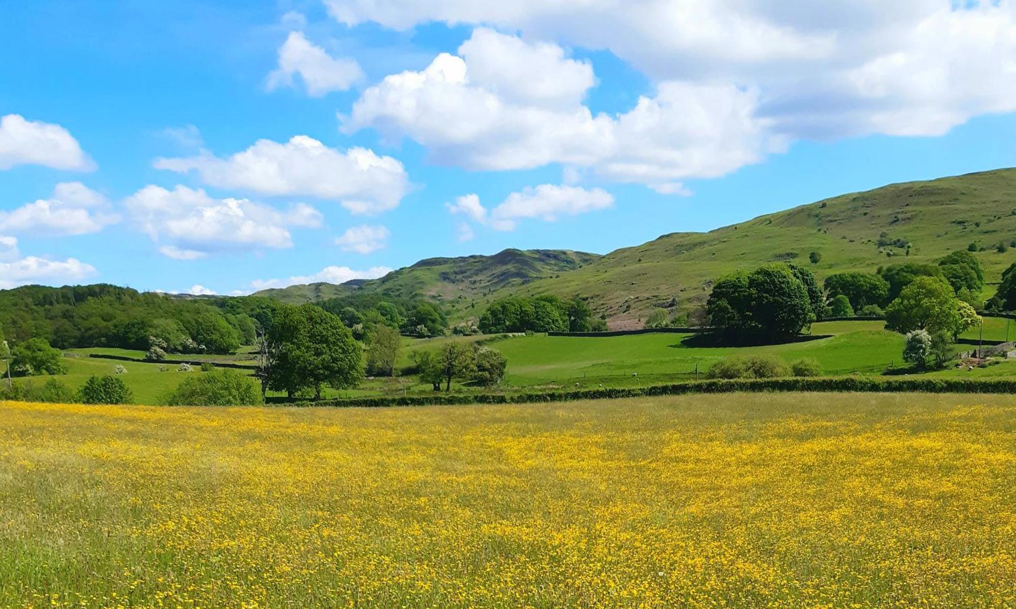 Ling Fell Cottage อัลเวอร์สตัน ภายนอก รูปภาพ