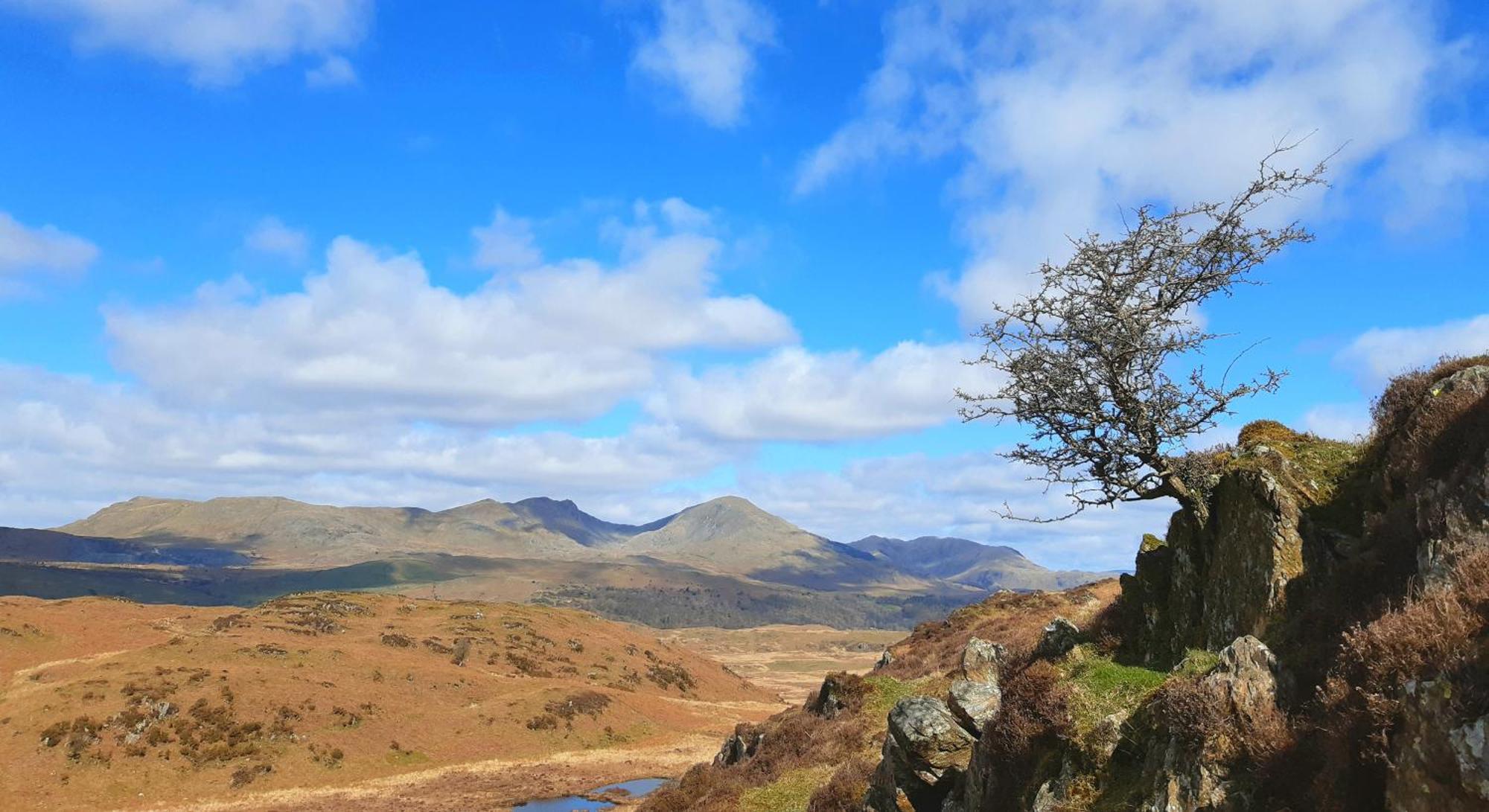 Ling Fell Cottage อัลเวอร์สตัน ภายนอก รูปภาพ