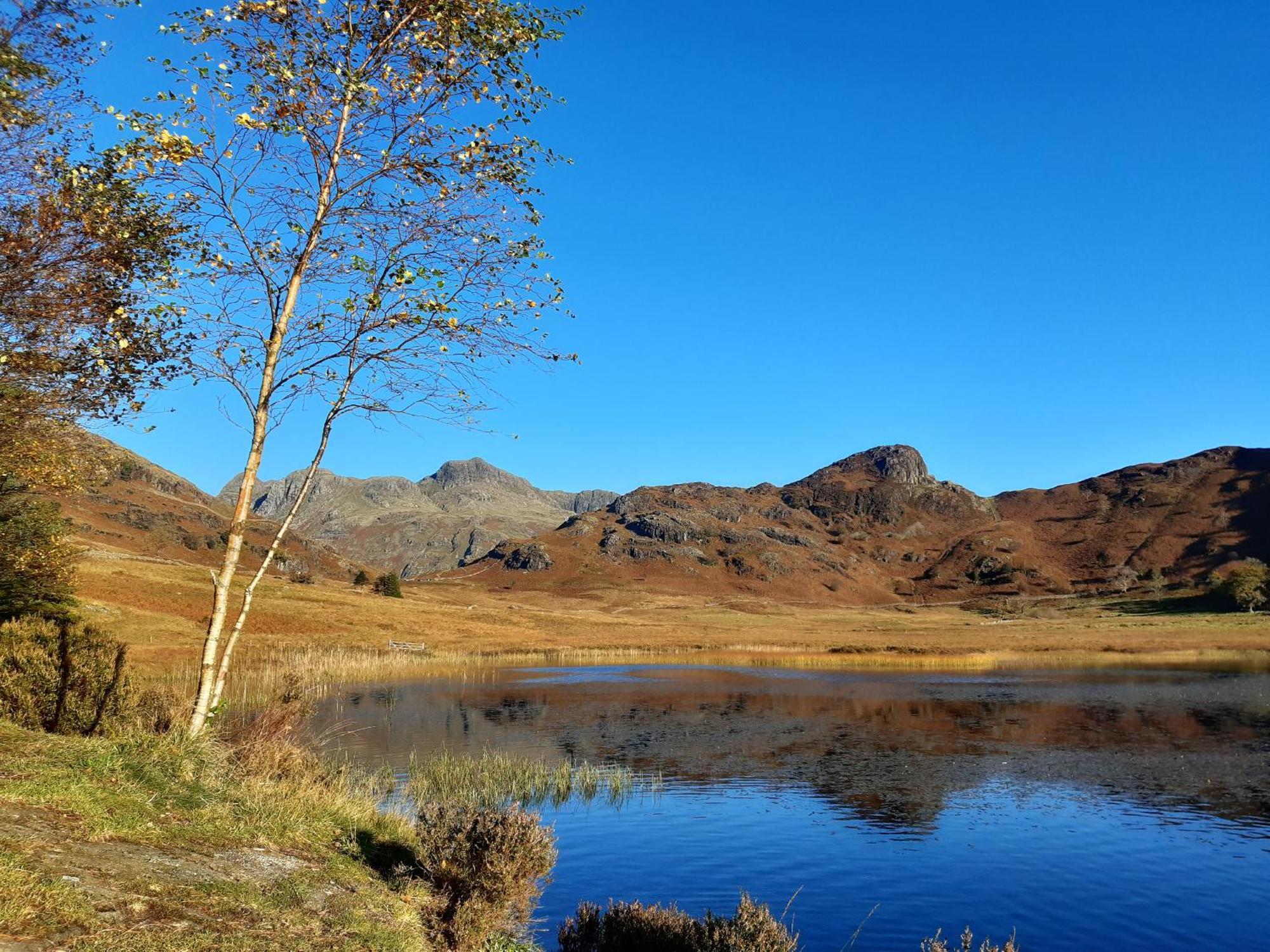Ling Fell Cottage อัลเวอร์สตัน ภายนอก รูปภาพ